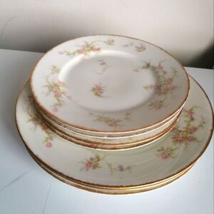 Antique Theodore Haviland Limoges Plates 7